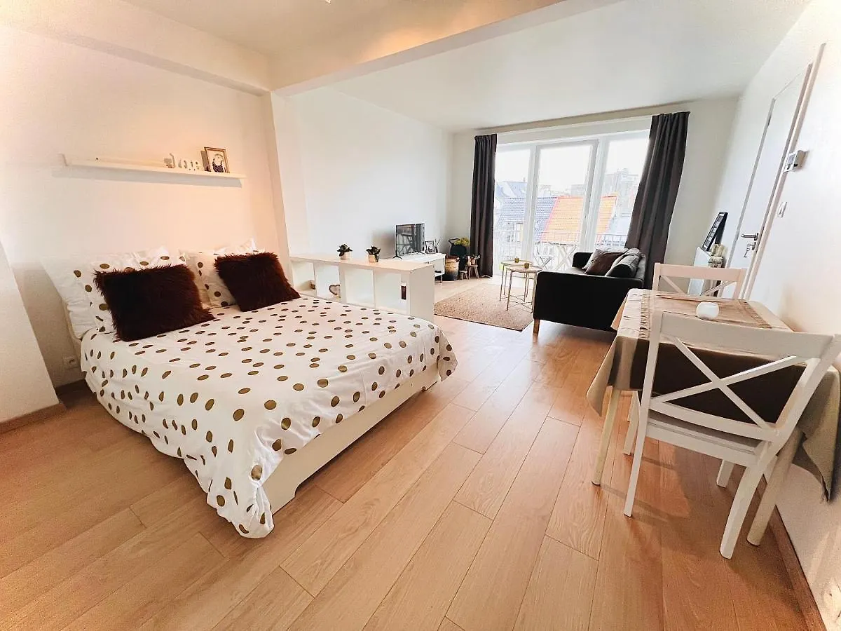 Quiet & Cosy Studio Ostend Belgium